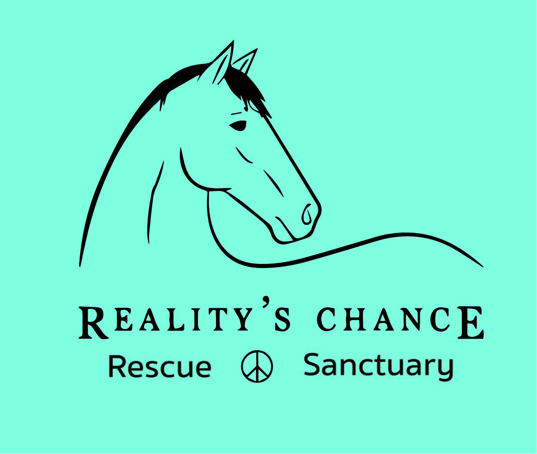 Reality's Chance Barn Logo